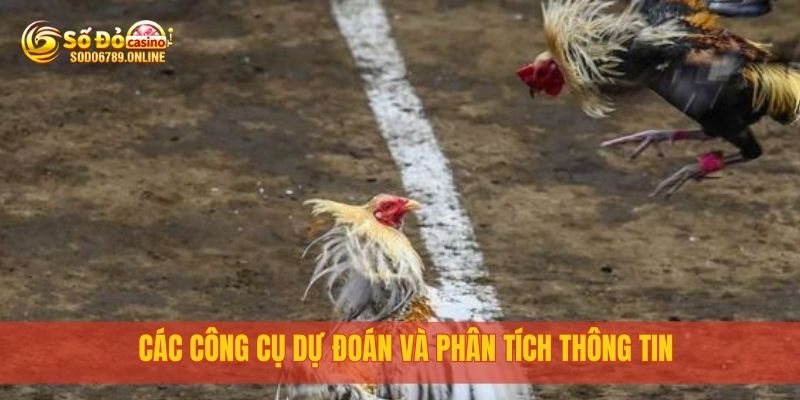 Các công cụ dự đoán và phân tích thông tin