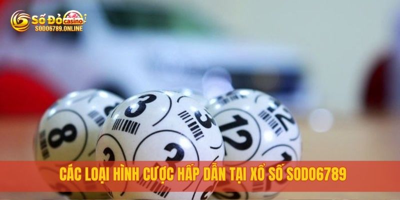 Xổ Số Sodo6789 – Cơ Hội Trúng Lớn Mỗi Ngày Dành Cho Bạn 1 Các loại hình cược hấp dẫn tại xổ số sodo6789
