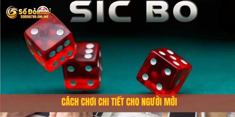 Cách chơi chi tiết cho người mới