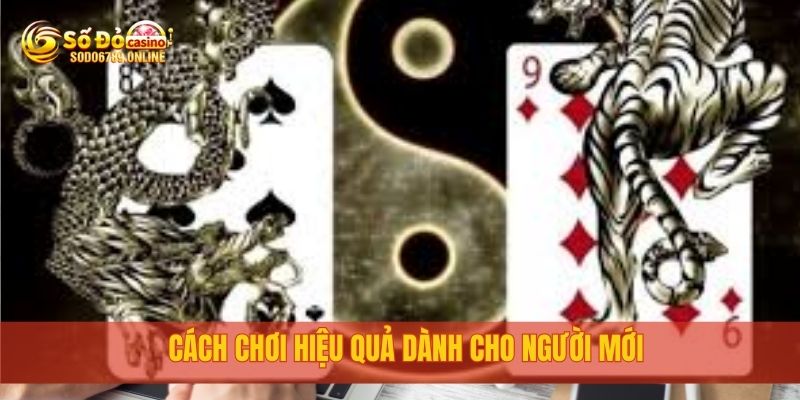 Cách Chơi Rồng Hổ Dễ Thắng Tại Nhà Cái Trực Tuyến Sodo6789 3 Cách chơi hiệu quả dành cho người mới