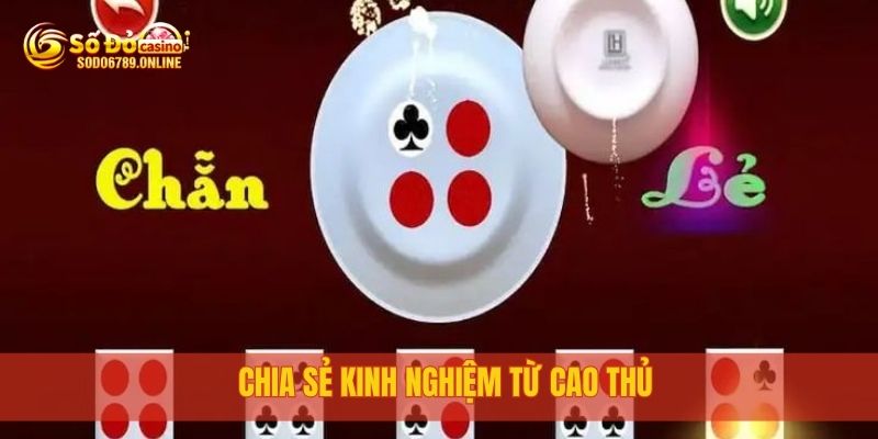 Cách Chơi Xóc Đĩa Chuẩn Xác Chỉ Có Tại Nền Tảng Sodo6789 4 Chia sẻ kinh nghiệm từ cao thủ