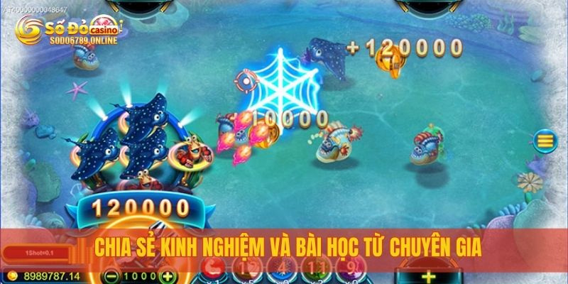 Bắn Cá Xèng Ăn Tiền Siêu Hot Tại Nền Tảng Sodo6789 4 Chia sẻ kinh nghiệm và bài học từ chuyên gia