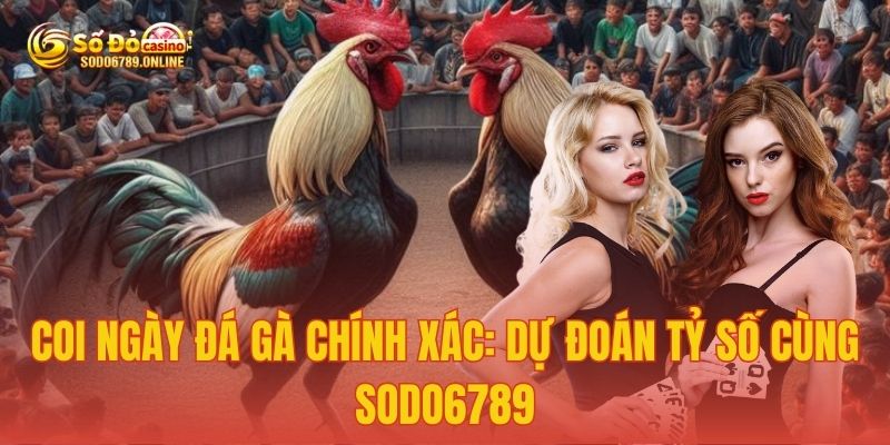 Coi ngày đá gà chính xác