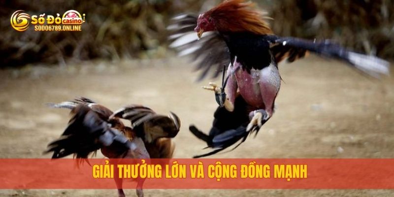 Giải thưởng lớn và cộng đồng mạnh