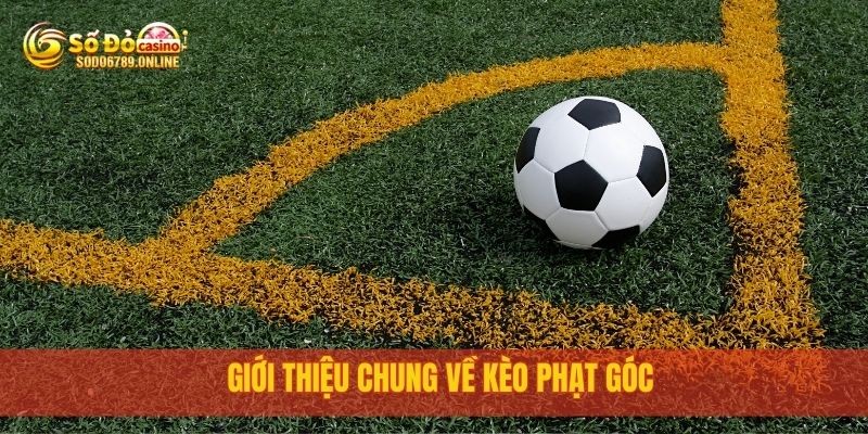 Kèo Phạt Góc Dễ Trúng, Chơi Ngay Tại Nền Tảng Sodo6789 2 Giới thiệu chung về kèo phạt góc