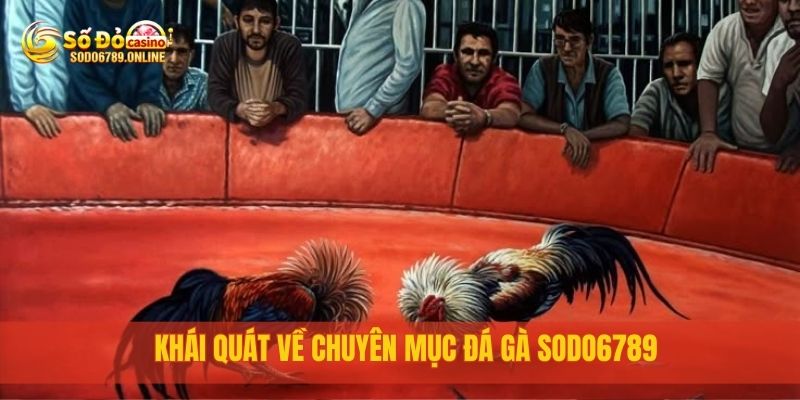Đá Gà Sodo6789 – Trận Đấu Nảy Lửa, Cá Cược Cực Hồi Hộp 1 Khái quát về chuyên mục đá gà sodo6789