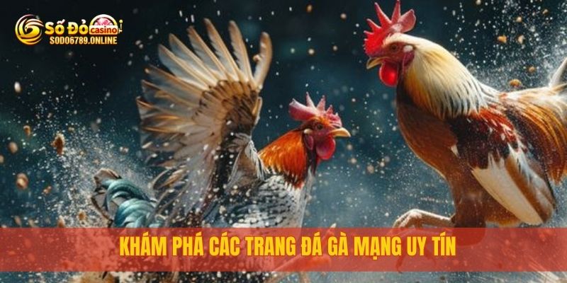 Top 5 Trang Đá Gà Mạng Uy Tín, Chơi Ngay tại Sodo6789 3 Khám phá các trang đá gà mạng uy tín