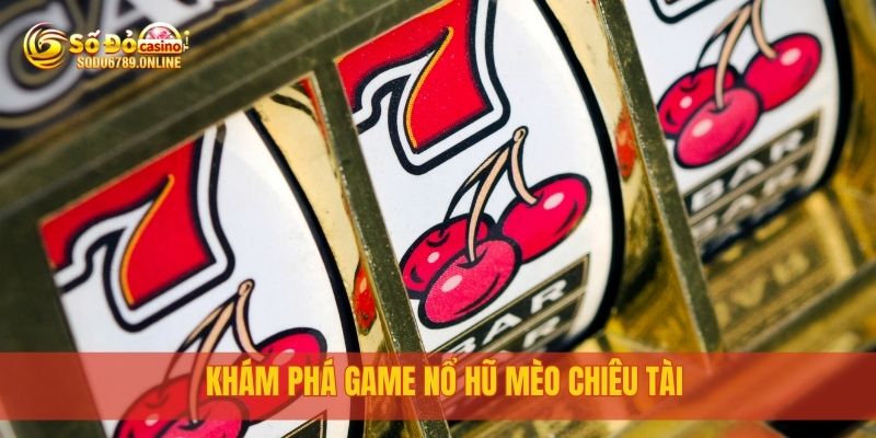 Khám phá game Nổ Hũ Mèo Chiêu Tài