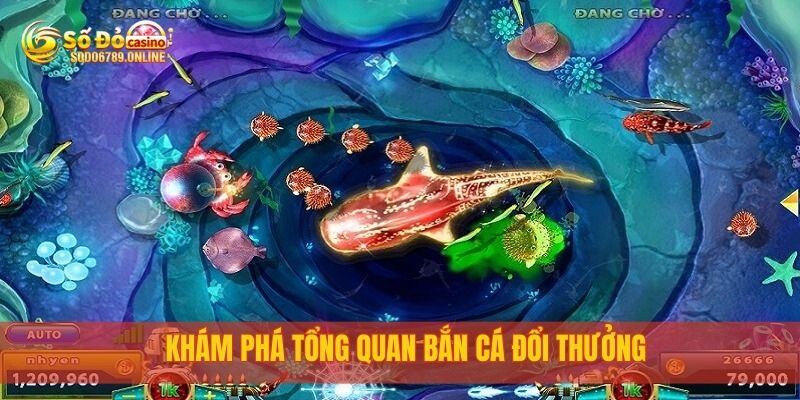 Bắn Cá Đổi Thưởng Hấp Dẫn Mỗi Ngày Tại Nền Tảng Sodo6789 2 Khám phá tổng quan bắn cá đổi thưởng