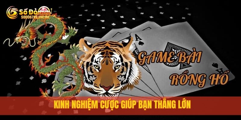 Cách Chơi Rồng Hổ Dễ Thắng Tại Nhà Cái Trực Tuyến Sodo6789 4 Kinh nghiệm cược giúp bạn thắng lớn