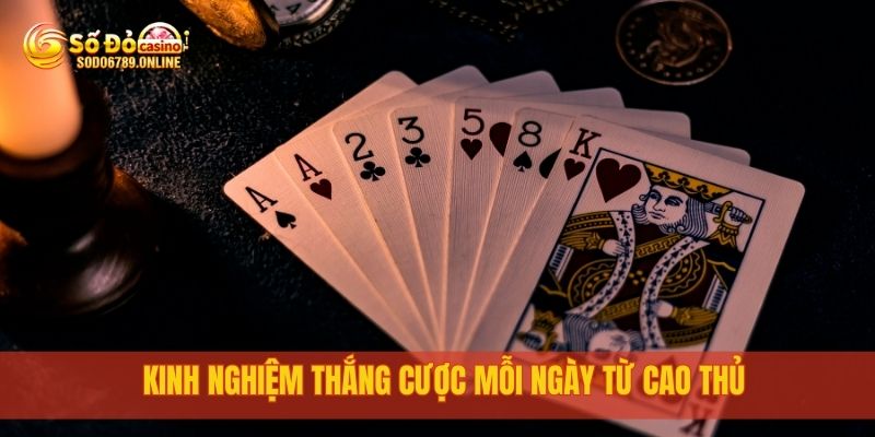 Cách Chơi Bài Phỏm Đơn Giản Dễ Nhớ Tại Nền Tảng Sodo6789 4 Kinh nghiệm thắng cược mỗi ngày từ cao thủ