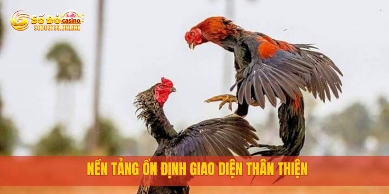 Nền tảng ổn định giao diện thân thiện