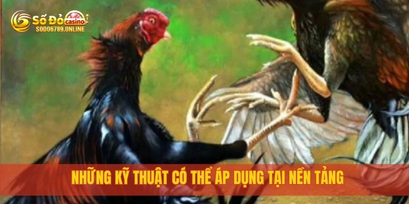 Đá Gà Cựa Sắt: Trận Đấu Nảy Lửa Tại Nền Tảng Sodo6789 3 Những kỹ thuật có thể áp dụng tại nền tảng