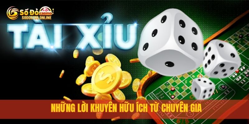 Những lời khuyên hữu ích từ chuyên gia