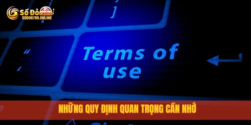 Điều Khoản Điều Kiện Khi Sử Dụng Dịch Vụ Tại Sodo6789 3 Những quy định quan trọng cần nhớ
