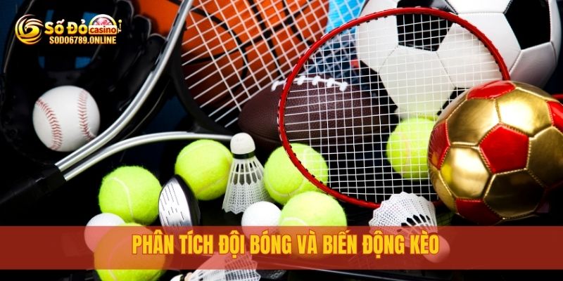 Cá Cược Thể Thao Sodo6789 Đa Dạng Kèo, Tỷ Lệ Cực Chuẩn 3 Phân tích đội bóng và biến động kèo