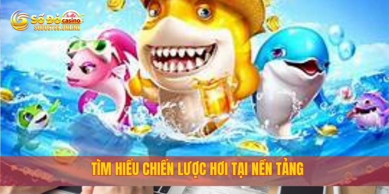 Tìm hiểu chiến lược hơi tại nền tảng