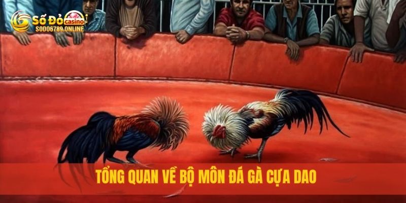 Đá Gà Cựa Dao Trực Tuyến Cực Đã Tại Nền Tảng Sodo6789 2 Tổng quan về bộ môn đá gà cựa dao