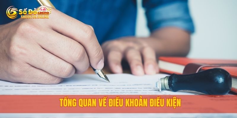 Điều Khoản Điều Kiện Khi Sử Dụng Dịch Vụ Tại Sodo6789 1 Tổng quan về điều khoản điều kiện